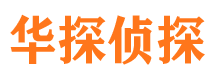 文县市调查公司